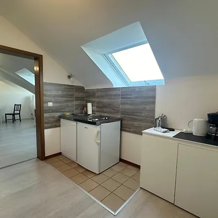شقة Schoenes Im Dachgeschoss In Nahe Rheinauer See مانهايم